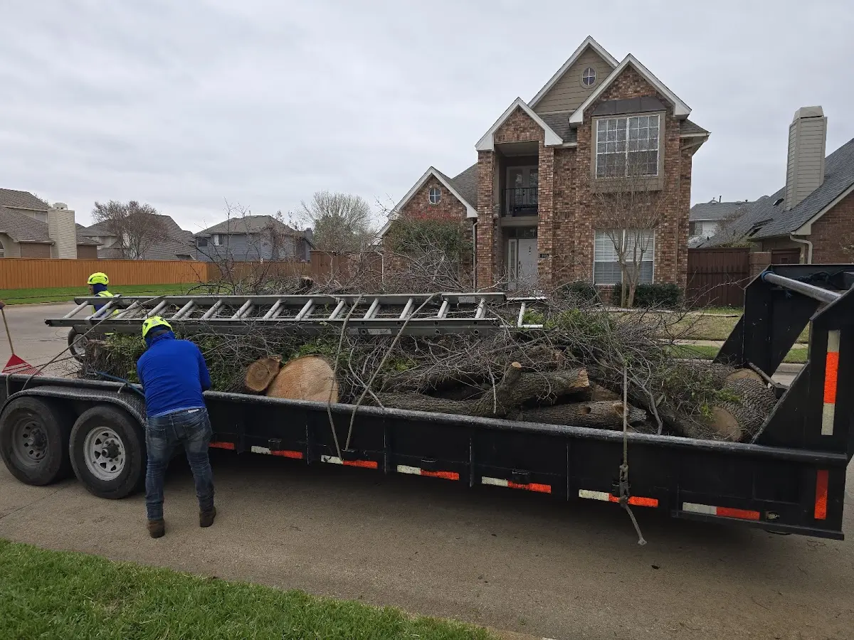 Expert Tree Removal with proper safety equipment in Statesboro
